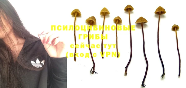мескалин Беломорск